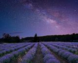 Previsioni astrologiche e classifica del 5 giugno: Toro romantico, Scorpione deluso.