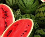 El agricultor dijo que Marruecos estaba 'invadiendo' a España en el mercado de las frutas (WikimediaCommons)