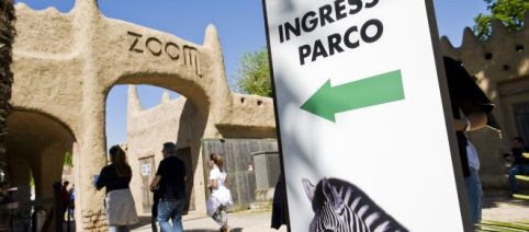 Torino, il parco Zoom: oltre l'idea del safari