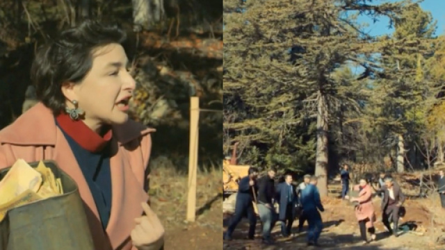 Terra amara, trame: Behice scopre che l'eredit&agrave; di Yilmaz &egrave; nascosta in un terreno di Demir.