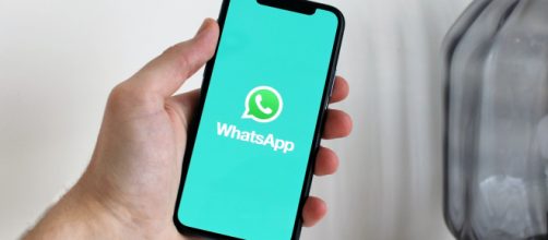 WhatsApp lança novo recurso. (Pexels)
