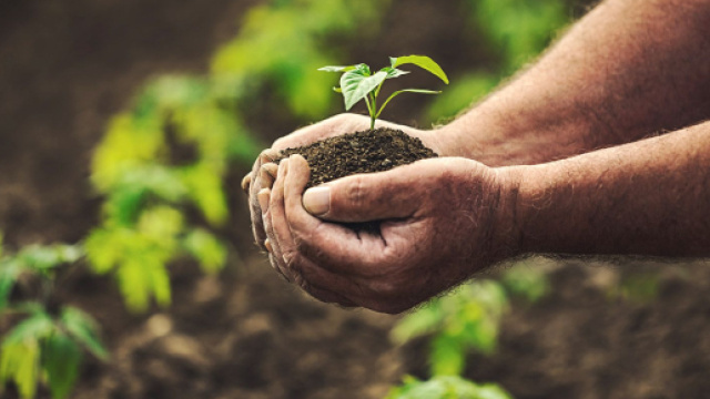 Politica agricola comune: proroga domande 2023