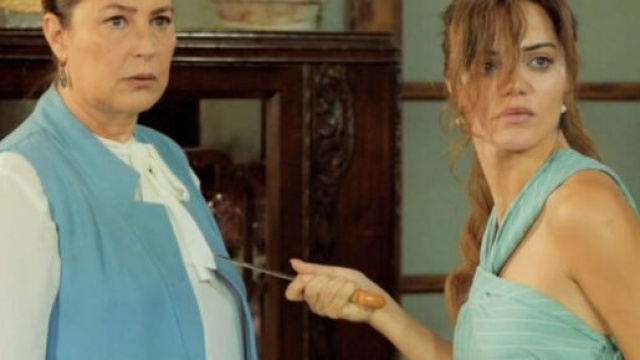 Terra amara, puntate al 28 luglio:Züleyha attenta alla vita di Hünkar, Sevda la ferma.