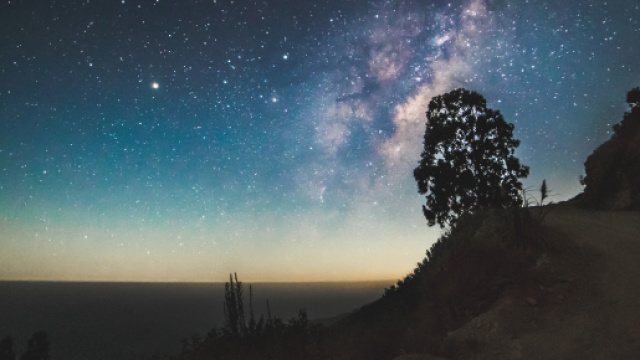 Previsioni astrologiche e classifica del 3 luglio: Leone nervoso, Sagittario leale.