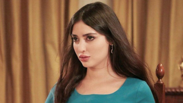 Terra amara: Mujgan muore in un incidente aereo.