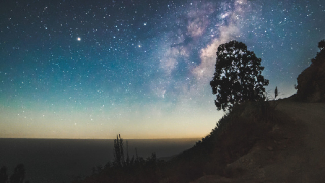 Previsioni astrologiche e classifica del 31 luglio: Toro responsabile.