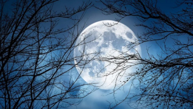 Oroscopo e classifica di martedì 1° agosto: il Plenilunio d'Aria premia la Bilancia.