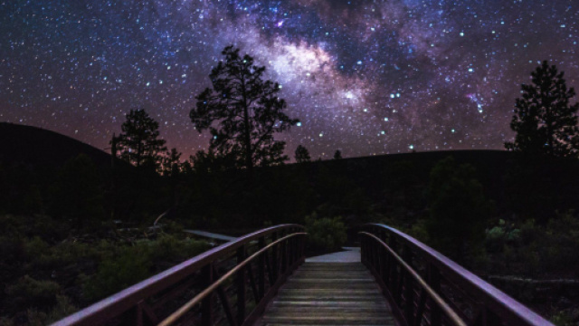 Previsioni zodiacali del 5 luglio: Cancro romantico, Acquario sereno.