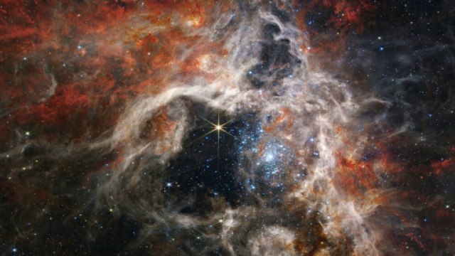 Oroscopo di oggi 14 agosto: Scorpione smarrito, Pesci intraprendenti.