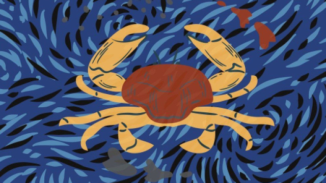 Oroscopo e classifica di venerdì 18 agosto: Cancro affaticato, Toro coraggioso.