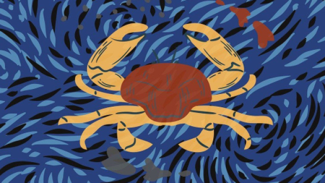 L'oroscopo, classifica del week-end 12-13 agosto: Cancro fiducioso, Vergine appagata.