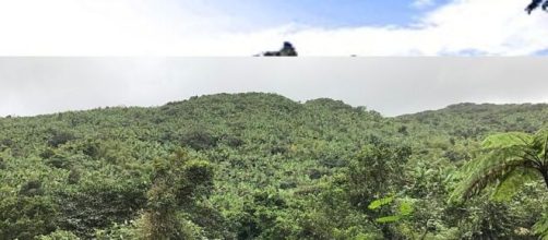 Floresta Nacional El Yunque (Sajyasingh/Wikimedia Commons)