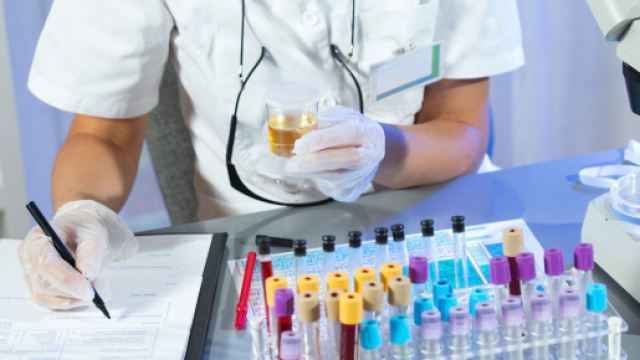 Immagini di repertorio di un laboratorio.