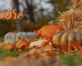 L'oroscopo del mese di ottobre: finisce l'egemonia di Venere in Leone, Bilancia produttiva.