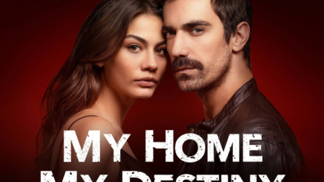 6 differenze tra My home my destiny e la storia vera: nel romanzo Bariş non esiste.