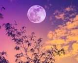 L'oroscopo di domani 3 ottobre: Luna 'sposa' Gemelli, Vergine in recupero (1^ metà).