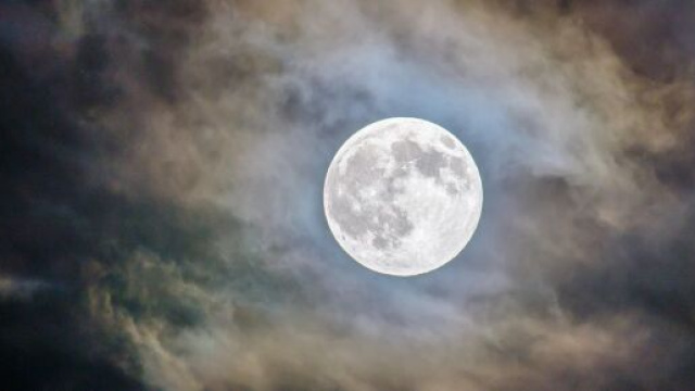 Oroscopo del 29 settembre 2023: massima fiducia e ottimismo per il Leone.