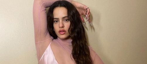 Rosalía y Rauw Alejandro anunciaron su ruptura el pasado mes de julio (Instagram, @rosalia.vt)