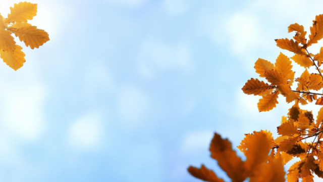 Oroscopo autunno 2023: fase di crescita e maturazione per i Gemelli, Pesci solidali