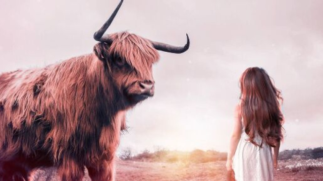 L'oroscopo della settimana dal 22 al 28 gennaio: contrattempi per Toro.