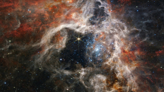 Previsioni zodiacali e classifica del 18 gennaio: Toro in crisi, Vergine affettuosa.