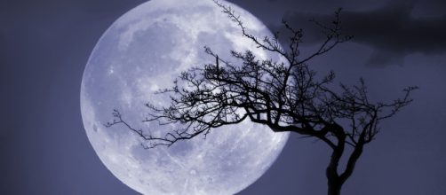 L'oroscopo di domani, giovedì 25 gennaio: Luna in Leone, coccole per Vergine (1^ parte).