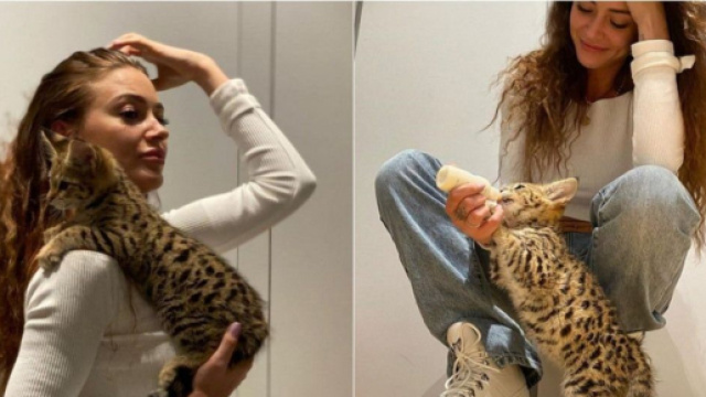 Rajah, le chat d'Alix, kidnappé et revendu par ses anciens amis ? Enfin, elle dit toute la vérité sur cette sombre histoire. (Instagram @alixdmx)