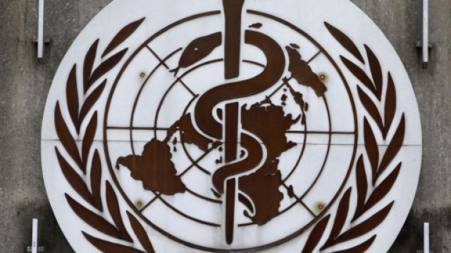 Logo dell' Organizzazione Mondiale della Sanità.