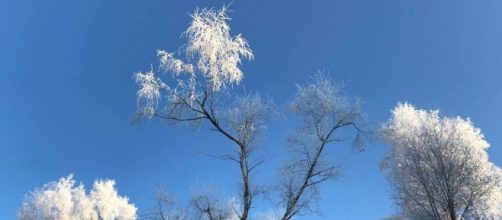 L'oroscopo della settimana dal 29 gennaio al 4 febbraio: esami e sfide per Scorpione.