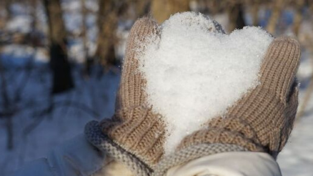 Oroscopo settimanale dal 5 all'11 febbraio, amore e soldi: ottimi risultati per Capricorno.