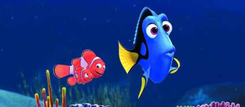 'Procurando Nemo' é uma das sugestões (Divulgação/Disney)