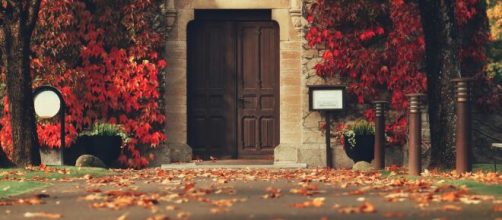 Porta con filiale autunnale-©Pexels