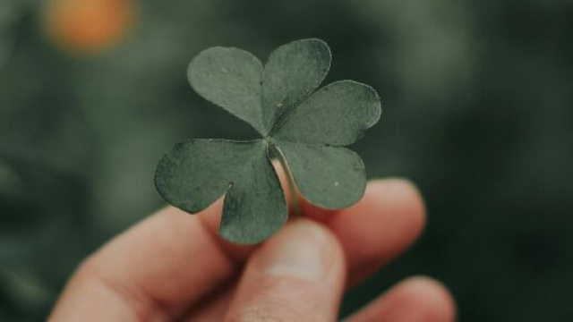 Mano che tiene un quadrifoglio- ©Pexels.