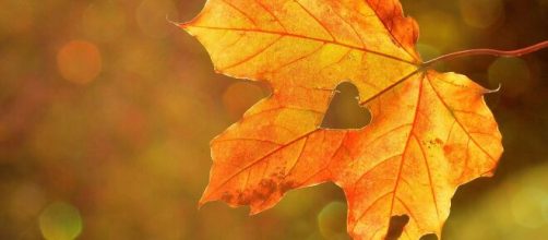 Foglia d'autunno a forma di cuore © Pixabay