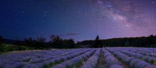 Via Lattea e un campo di lavanda - © Pixabay.