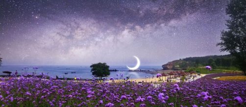 Cielo stellato, prato di fiori viola, mare e luna © Pixabay.