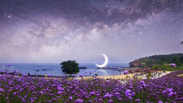 Cielo stellato, prato di fiori viola, mare e luna &copy; Pixabay.