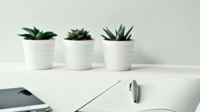 Scrivania con vasi, quaderno, penna e smartphone © Pexels