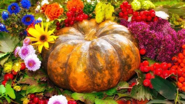 Una zucca e dei fiori (©pixabay.com)