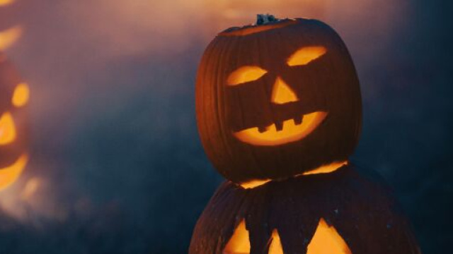 Zucche di Halloween - © Pexels.