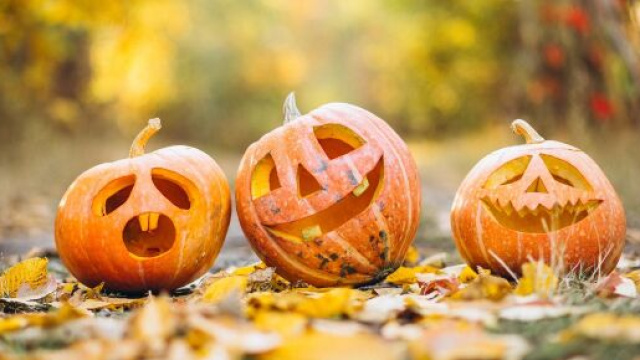 Zucche di Halloween - Immagine di © Pixabay.