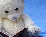 Orsacchiotto di peluche intento alla lettura - © Pixabay.