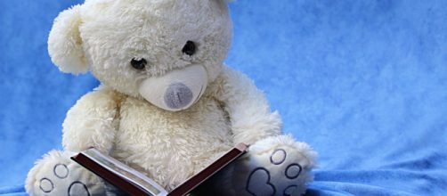 Orsacchiotto di peluche intento alla lettura - © Pixabay.