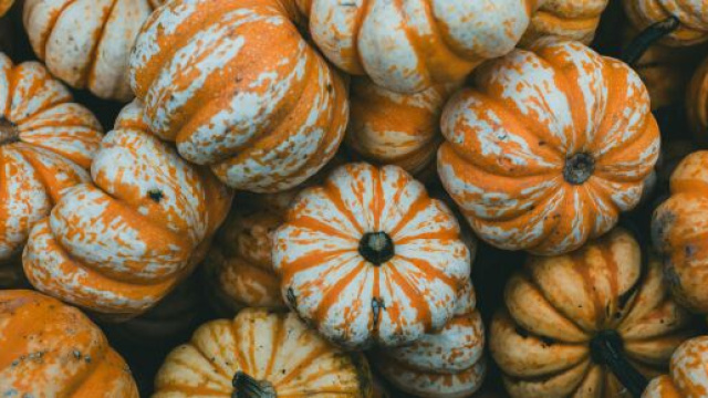 Diverse zucche raggruppate -©Pexels