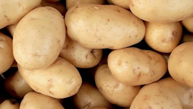 Patate, ingrediente alla base della ciambella pugliese - Foto © pexels.com