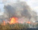 Il vasto incendio a Maropati - © Vigili del Fuoco