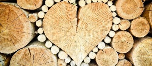 Cuori di legno © Immagine di Pixabay