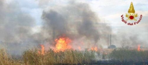 Il vasto incendio a Maropati - © Vigili del Fuoco