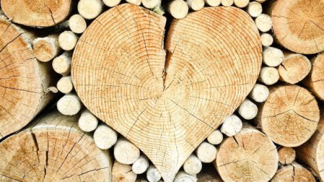 Cuori di legno &copy; Immagine di Pixabay