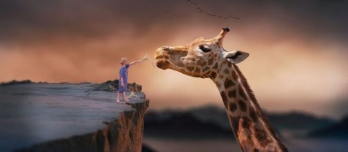 Bambino con una giraffa © Pixabay.